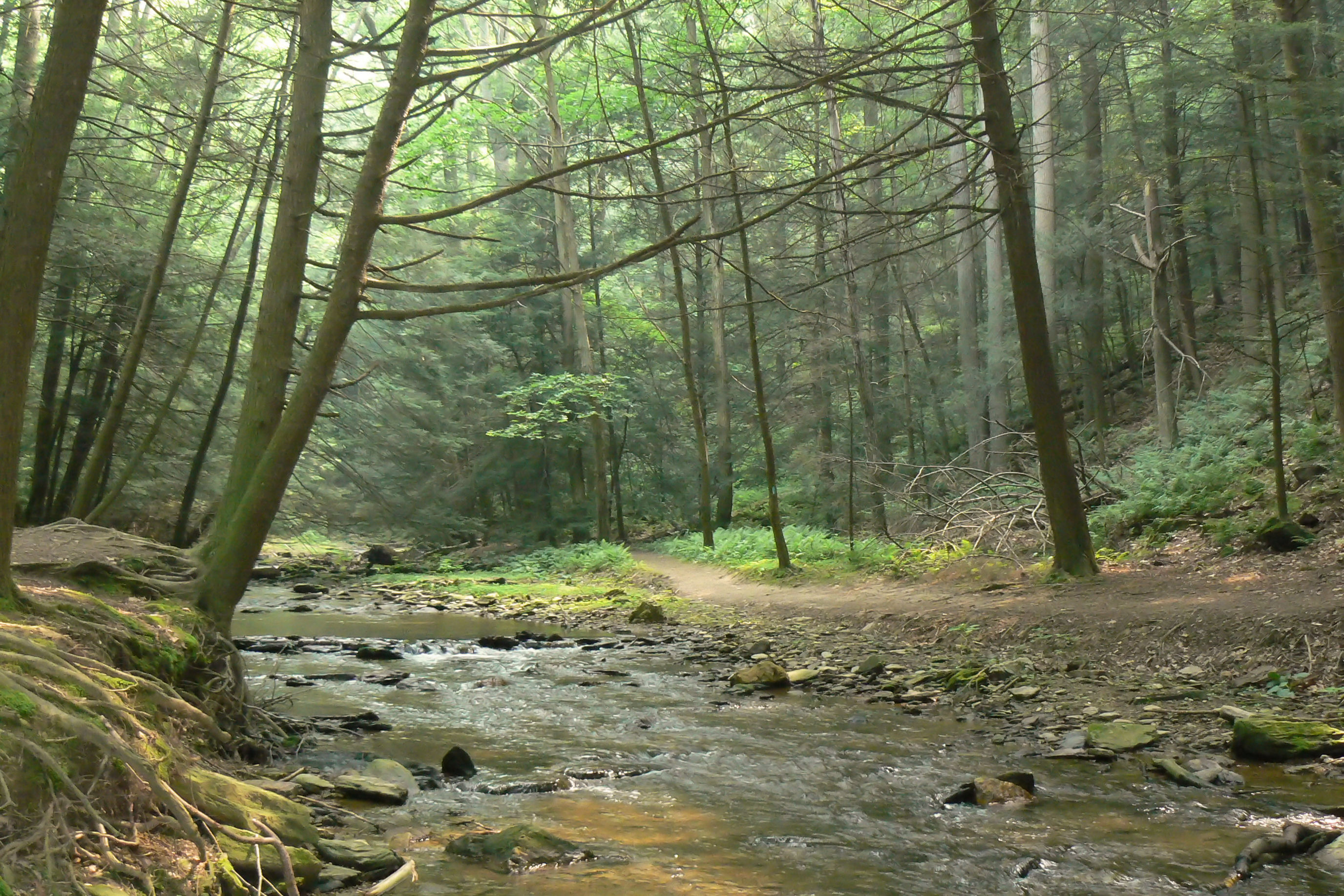 Image of Tucquan Glen